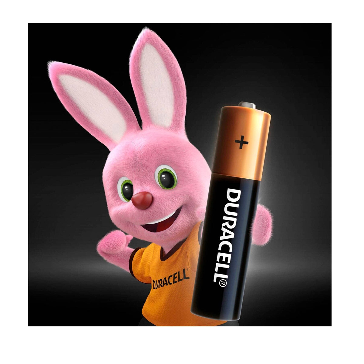 Pack 16 Pilas Duracell AA Alcalina